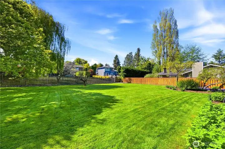 Huge backyard!