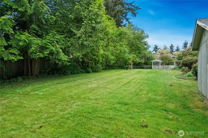 back of the property.