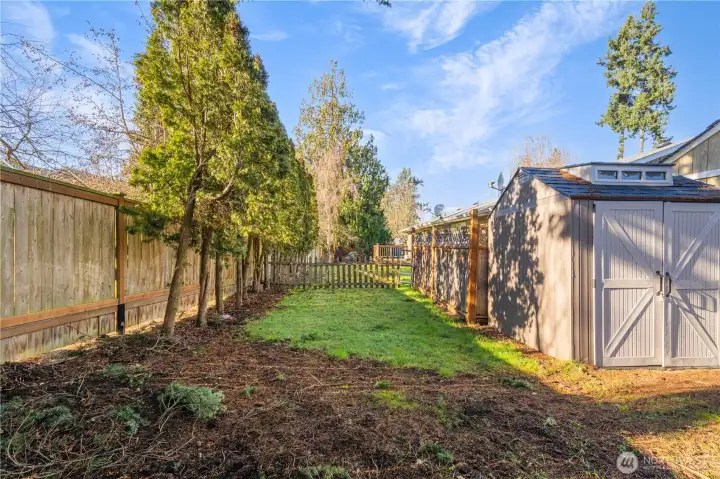 Backyard