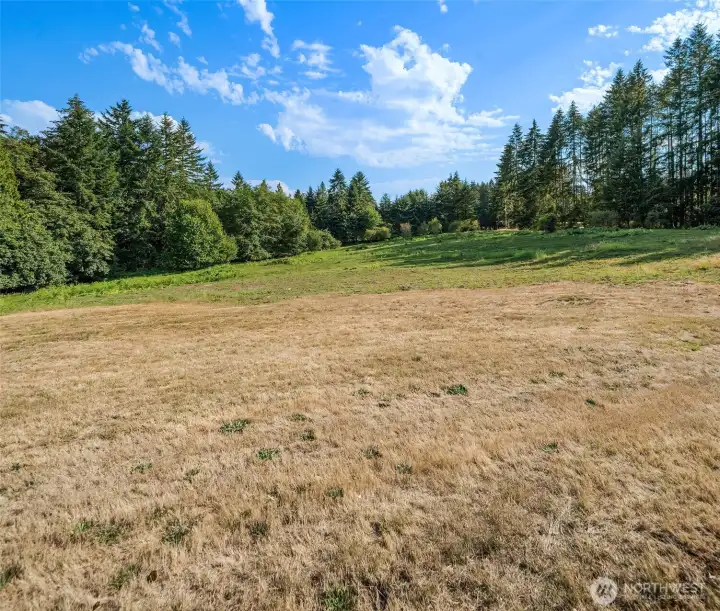 Gently sloping meadow awaits your dreams. Great for farmstead, horse property, DADU, running around or sitting in quiet contemplation.