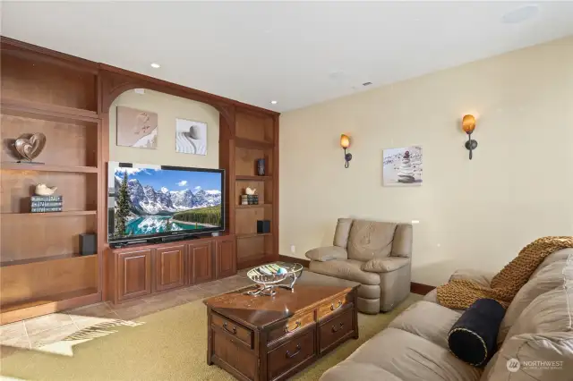 Built in cabinets and hidden door in the TV room