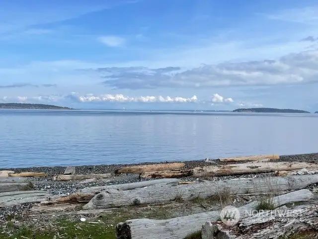 Endless beachcombing