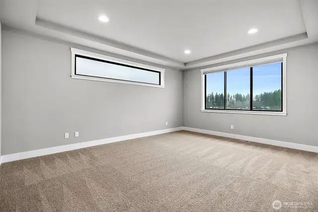 Lg Primary bedroom with  lg windows & relaxing beautiful tree line view, no direct neighbors behind this home!