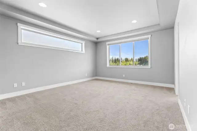 Lg Primary bedroom with  lg windows & relaxing beautiful tree line view, no direct neighbors behind this home!