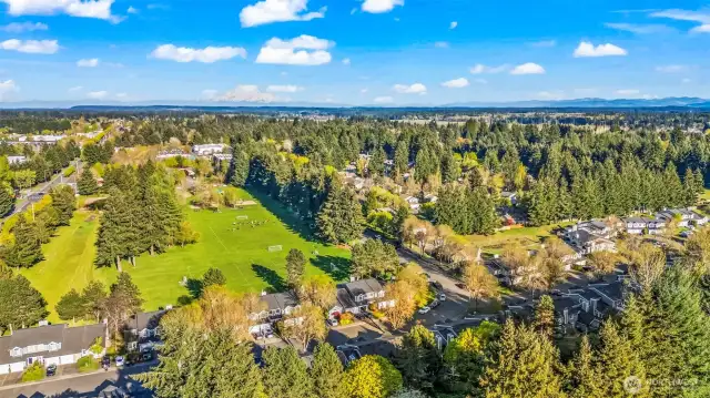 Community View