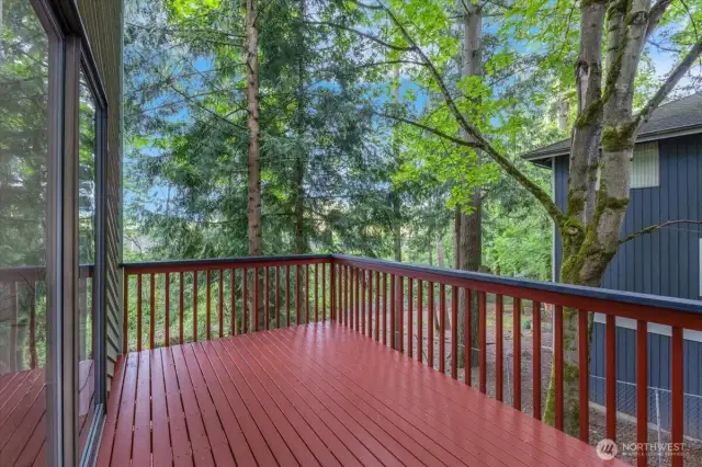 Deck off living room