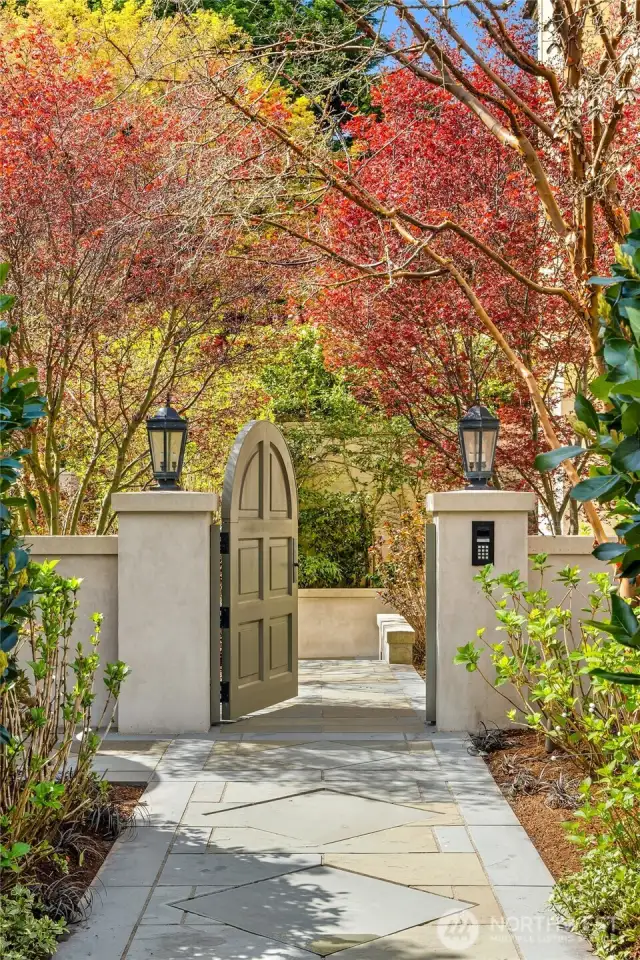 From the sidewalk, the path leading too the gate and the guest suite.