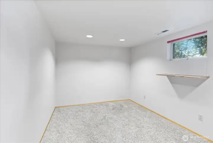 1 of the additional rooms in the basement
