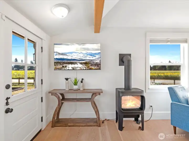 Cozy Gas Fireplace