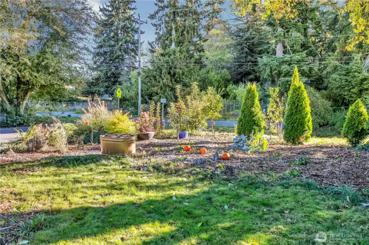 Native plant pollinator garden attracts hummingbirds, bees, and supports natural habitats.