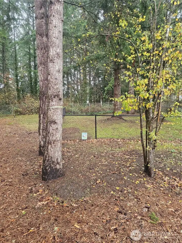 Area for dogs. Fenced area.