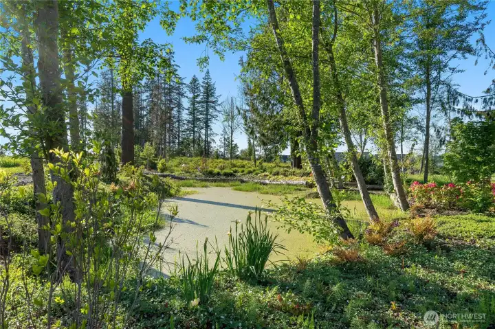 Sewtiment retention pond recently installed