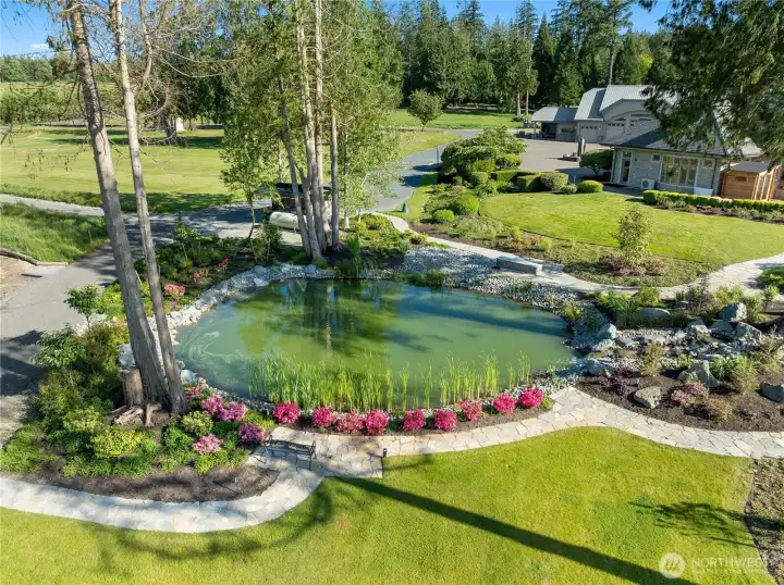 Custom designed and built privacy pond with tiered water feature attracts gentle aquatic birds and animals for your daily an nightly experiences.
