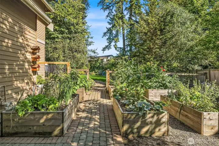 Side yard with Garden Space