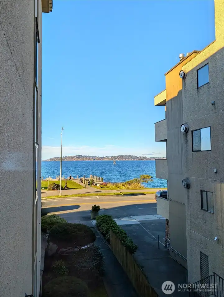 Looking from the living room - walkway leads to Luna Park waterfront & amazing views year-round!