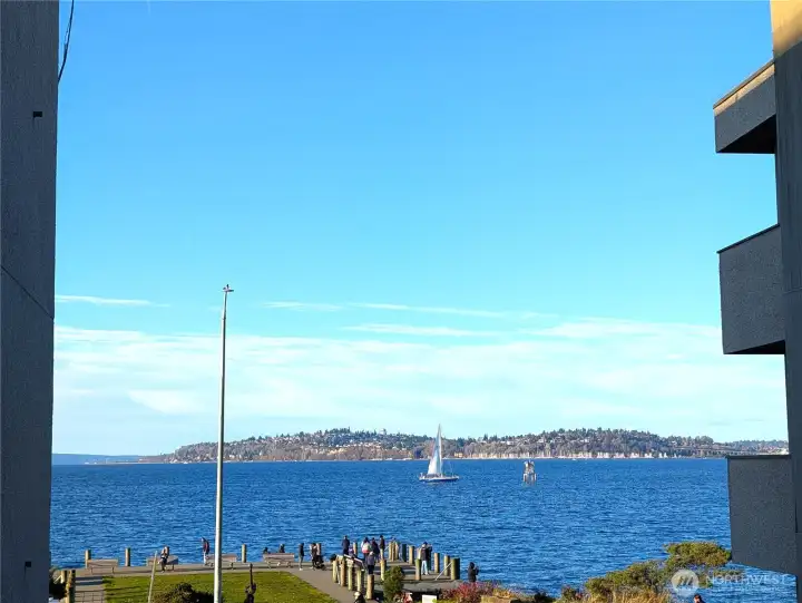 Serene views.  Welcome to Alki living.