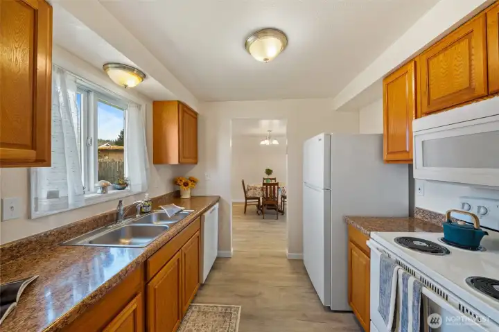 Kitchen window looks to big beautiful backyard.