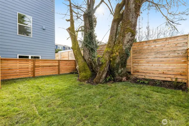 Perfect for pets and even offers some gardening space