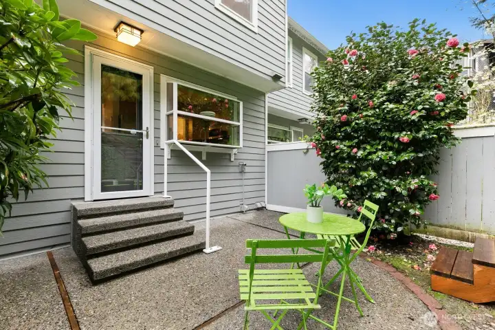 Back patio looking toward the house