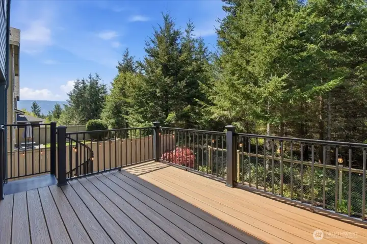 new composite deck and metal railings w/ spiral staircase to the back patio