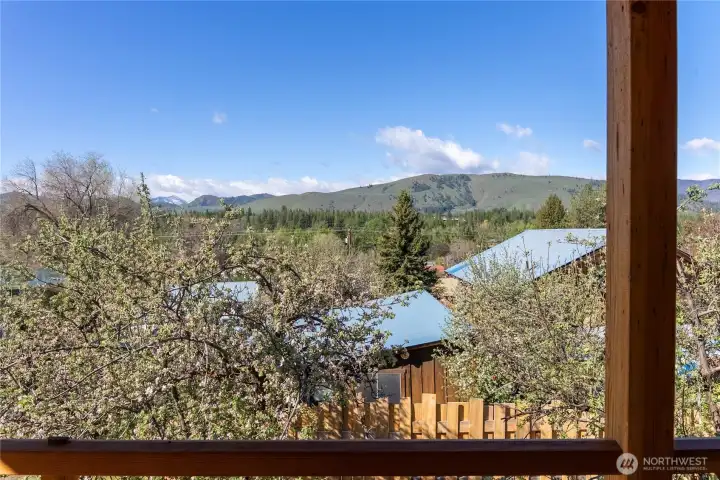 View from the deck looking over the apple trees.