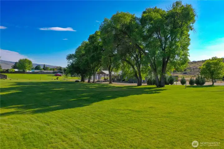 Lawn