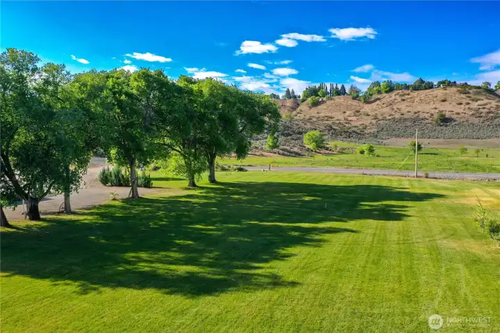 Lawn