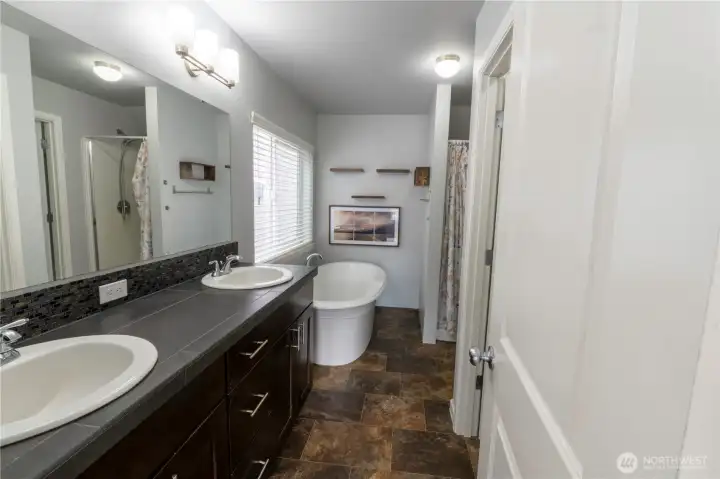 Luxurious primary ensuite featuring a soaking tub, separate shower, and ample counter space.