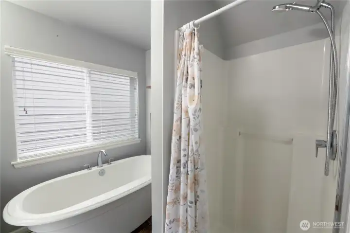 Spa-inspired primary bathroom with a separate soaking tub and walk-in shower.