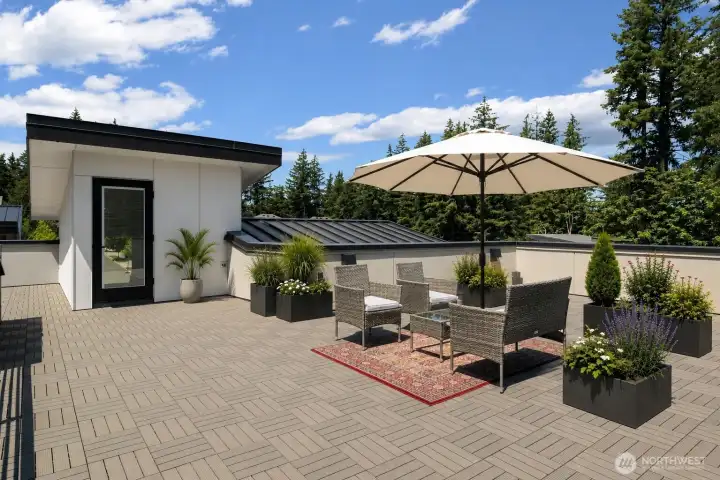 Roof top Terrace in the trees with territorial views (partial virtual stage) Roof top Terrace in the trees with territorial views (partial virtual stage)