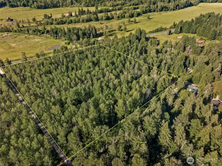 Property bordered by HWY 706, Mt Rainier Scenic RR tracks, Private gravel road (Park Junction Rd E) and neighbor's driveway