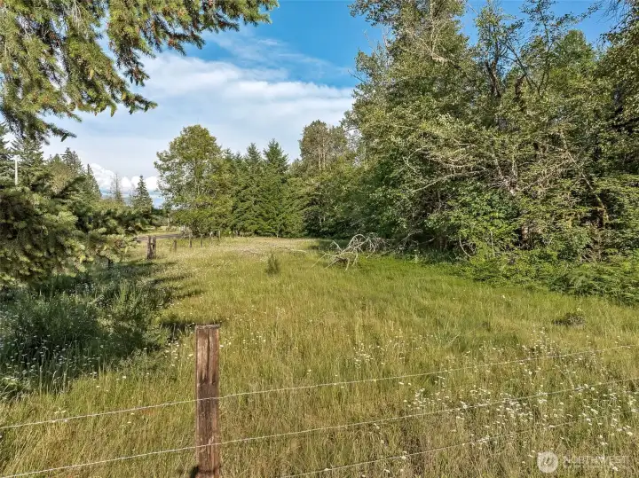 Meadows along HWY 706