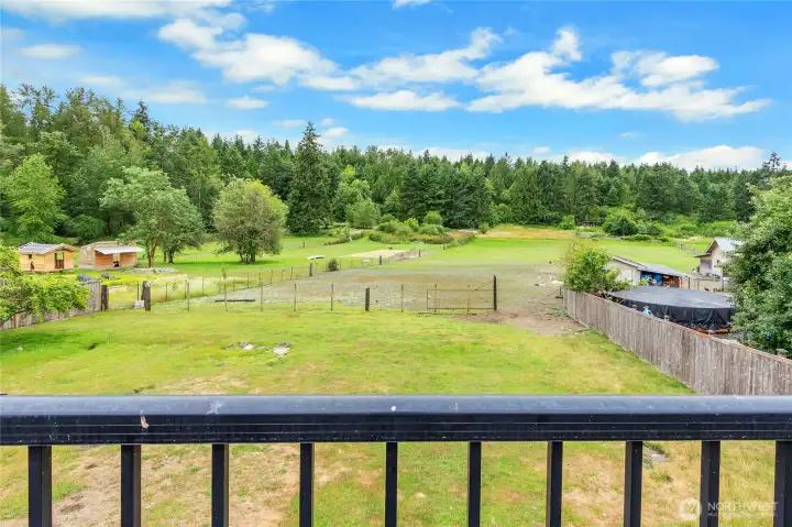 Backyard from deck. Backyard from deck.