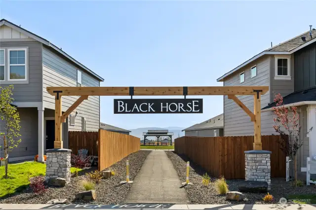 Welcome to Black Horse