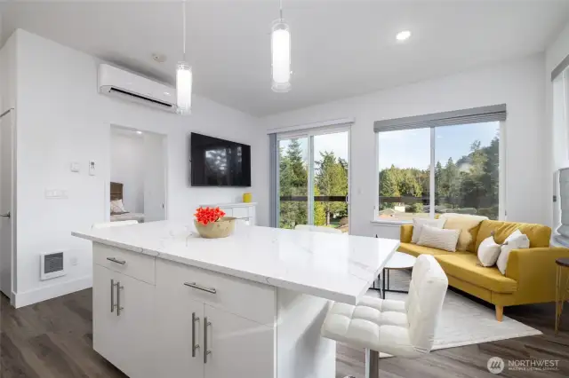 Open concept living, mini-splits w/AC