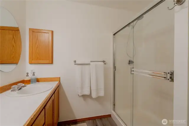 Primary bath shower