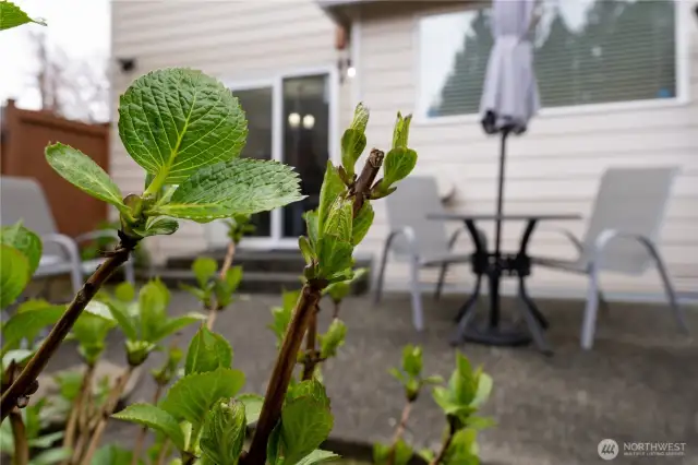 Mature landscaping