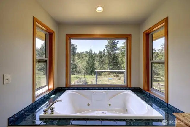 Jacuzzi in primary bathroom