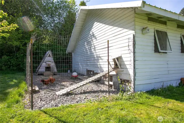 chicken coop at second outbuilding