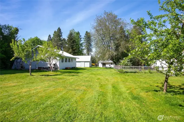 back yard