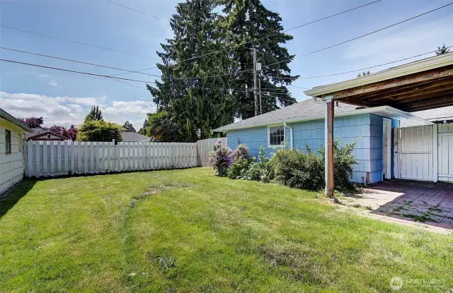 Backyard