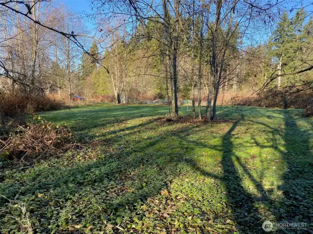 Standing on edge of wooded area looking north