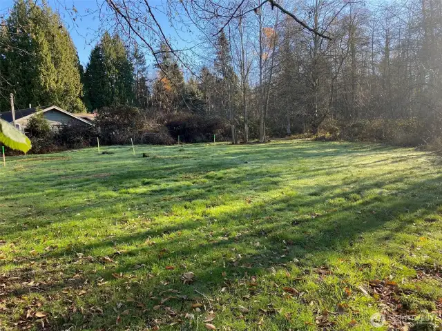 Area for septic steaked out