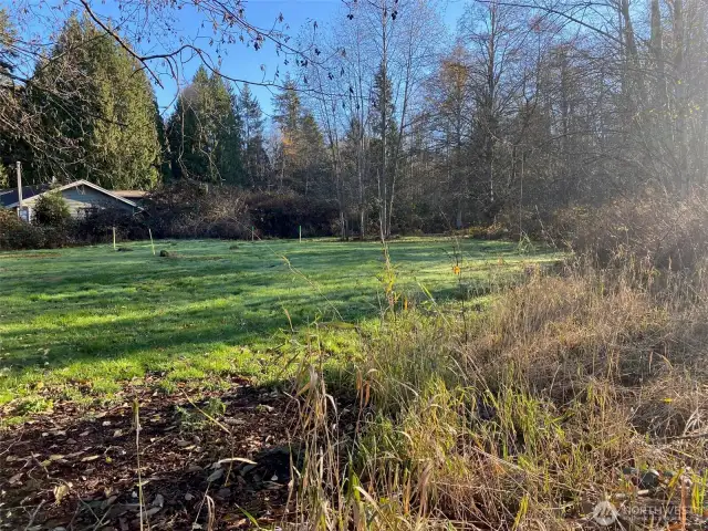 South end of property is all wooded.