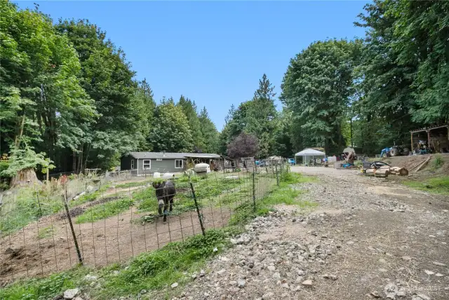 Fenced animal pasture