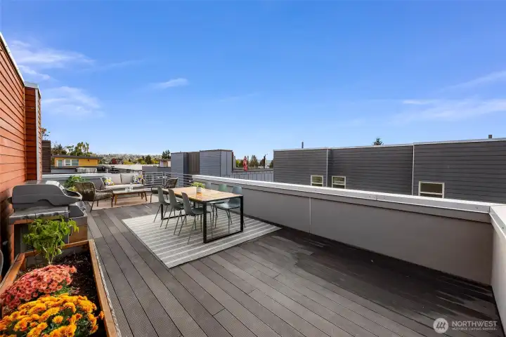 huge rooftop deck with planters and plenty of space for any kind of entertaining.