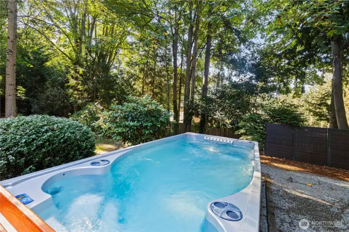 Swim Spa To Convey