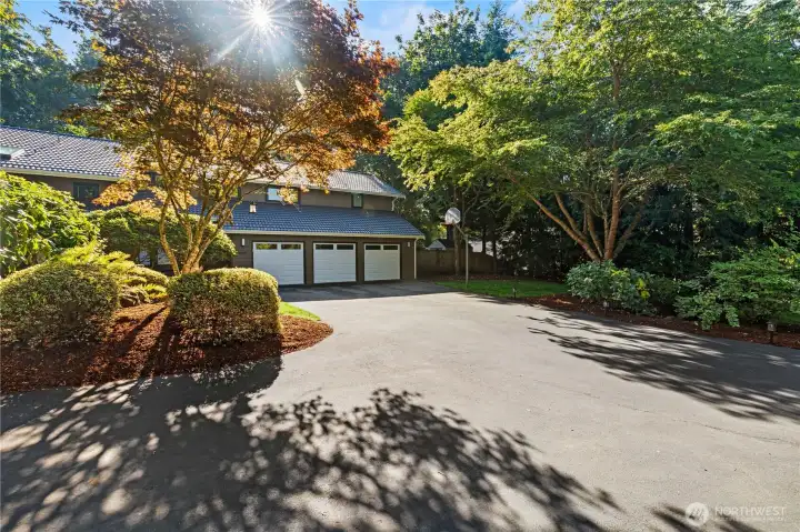 4 Car Garage plus Shed