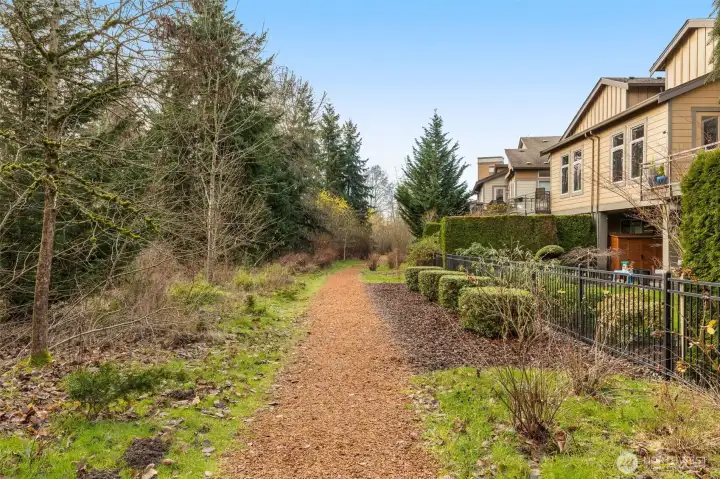 Scenic walking path right behind yard