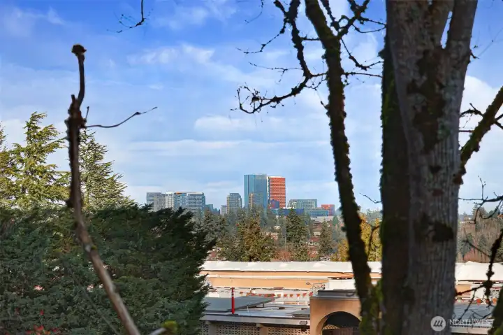You can see downtown Bellevue's skyline from here, and on a clear day, the Cascade Mountains are visible too!
